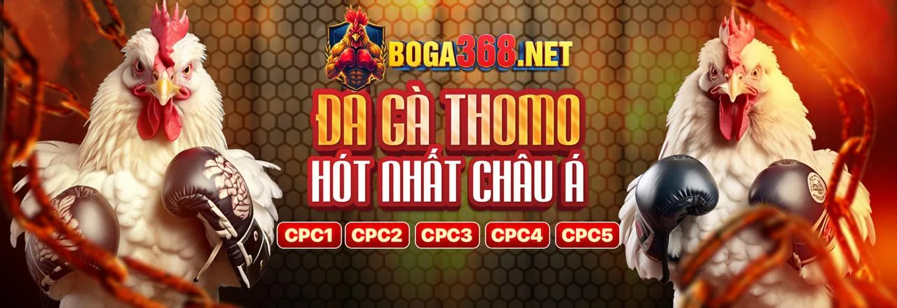 Phân tích trận đấu bóng đá tại Win365 Nhà Cái